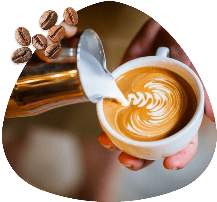 Cat costa franciza cafenea